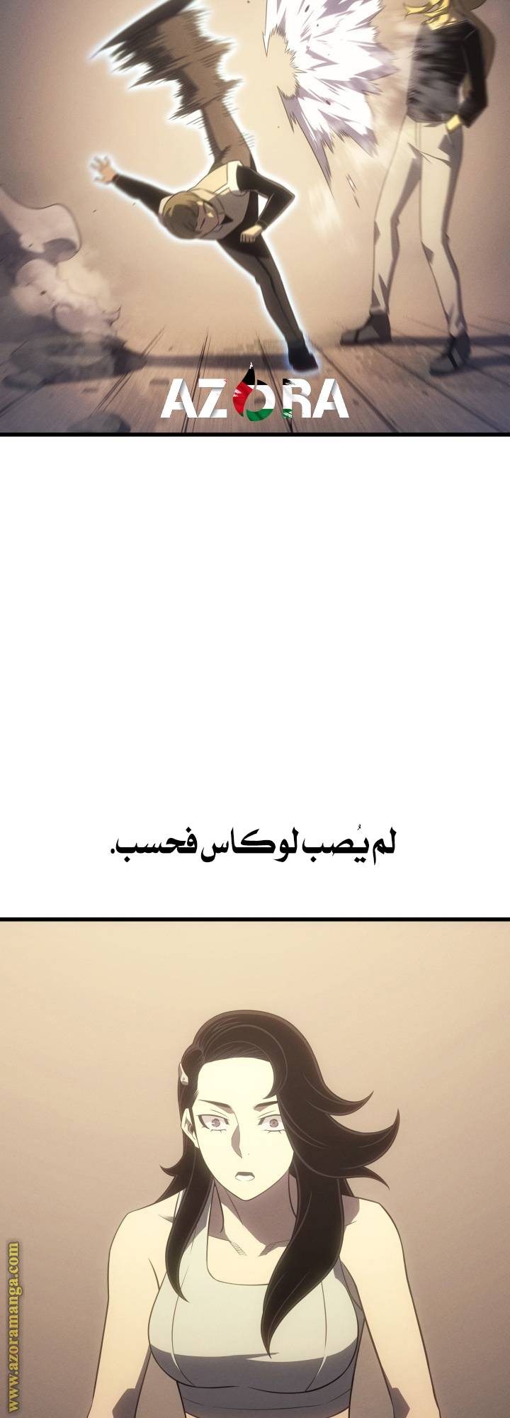 الصفحة 29