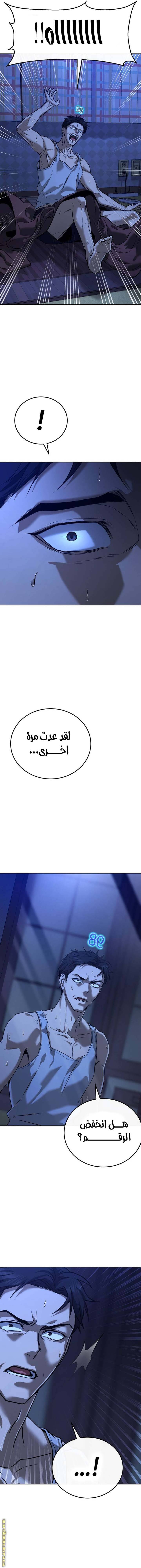 الصفحة 13