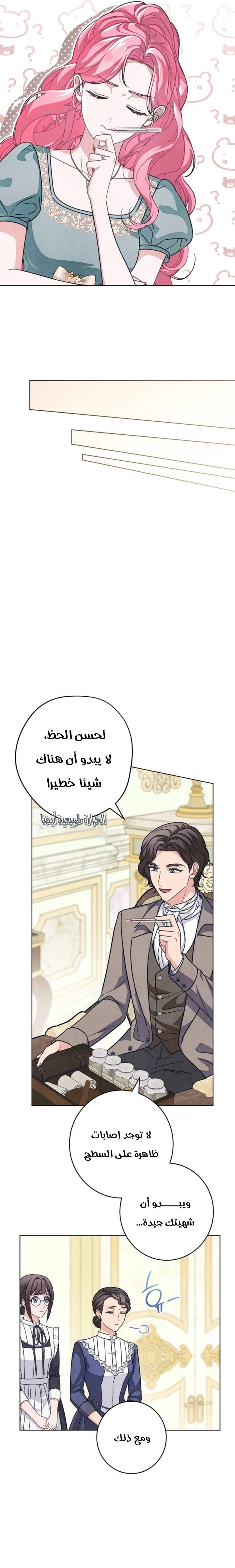 الصفحة 12