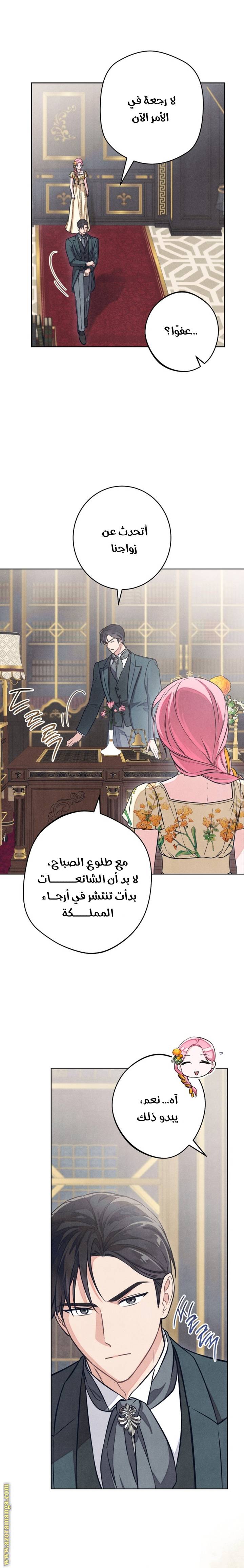 الصفحة 11