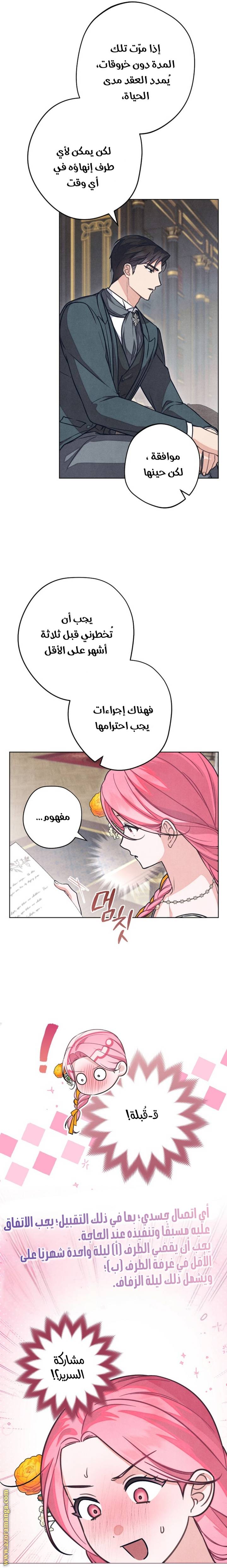 الصفحة 16