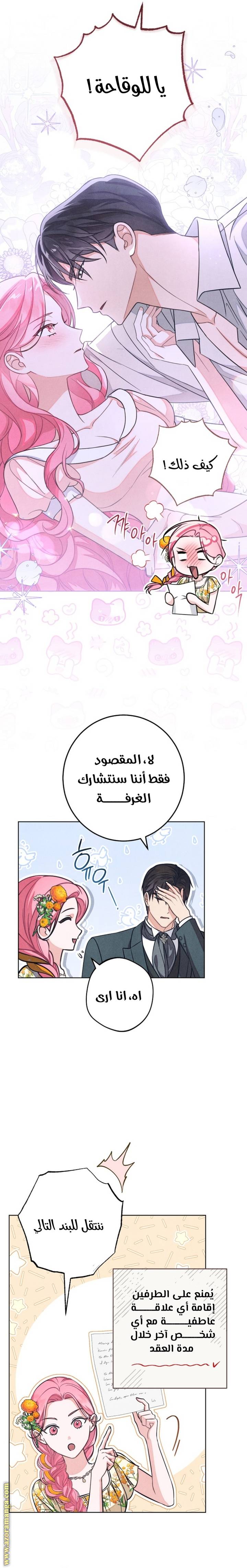 الصفحة 17