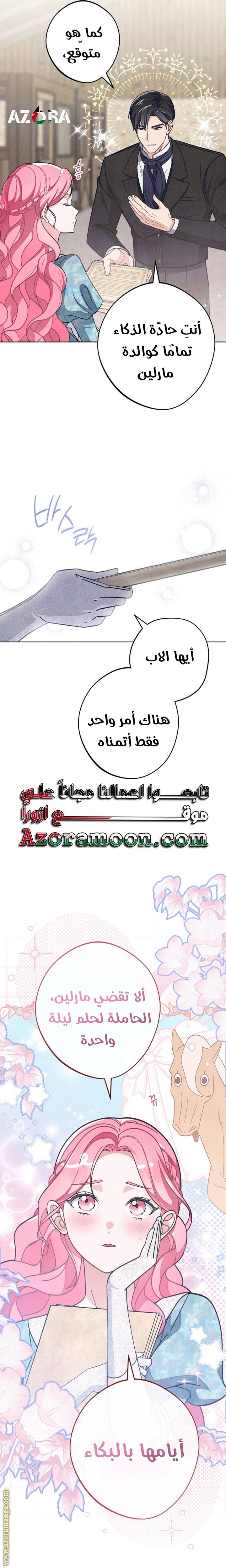 الصفحة 13