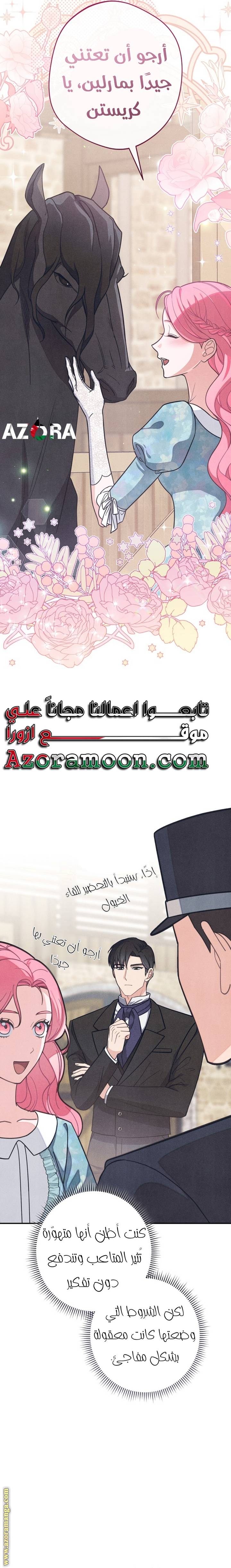 الصفحة 19