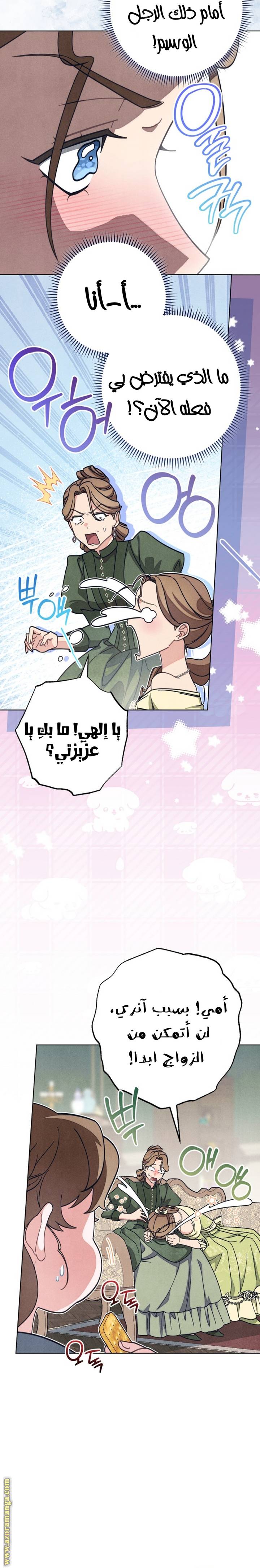 الصفحة 22