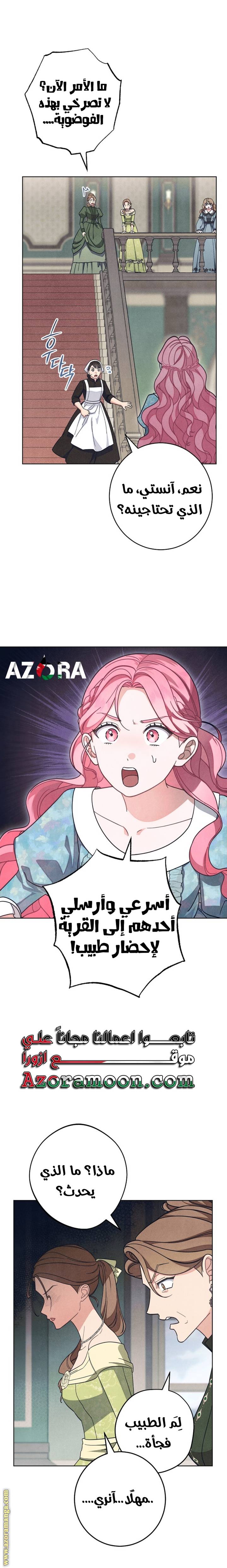 الصفحة 25