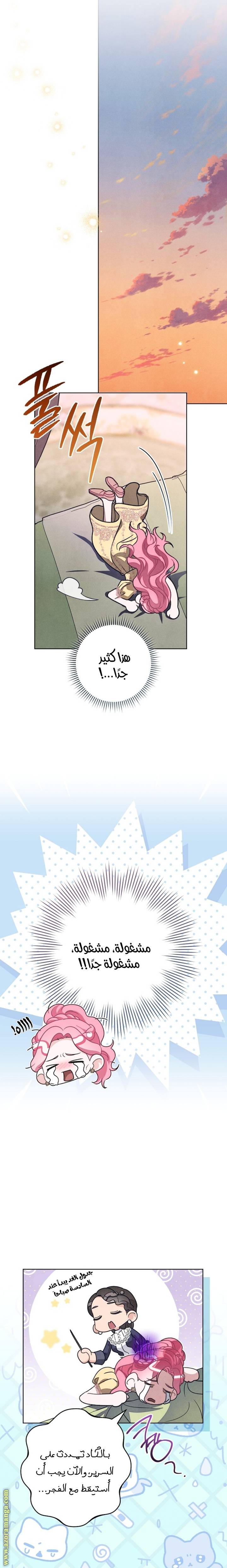 الصفحة 13