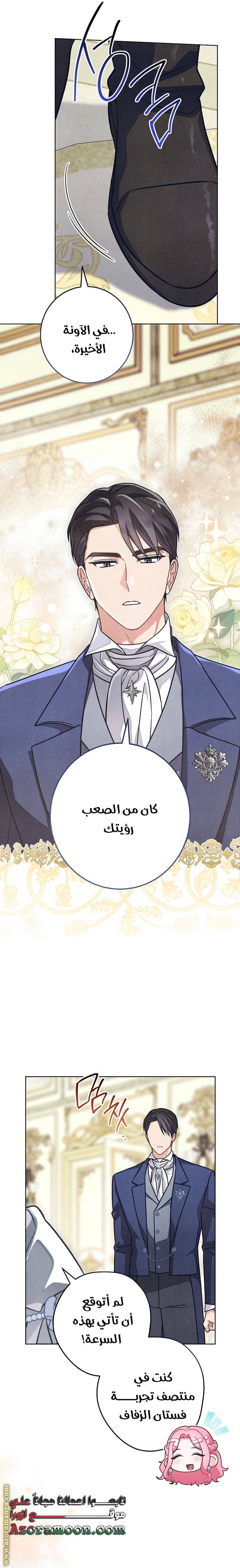الصفحة 17