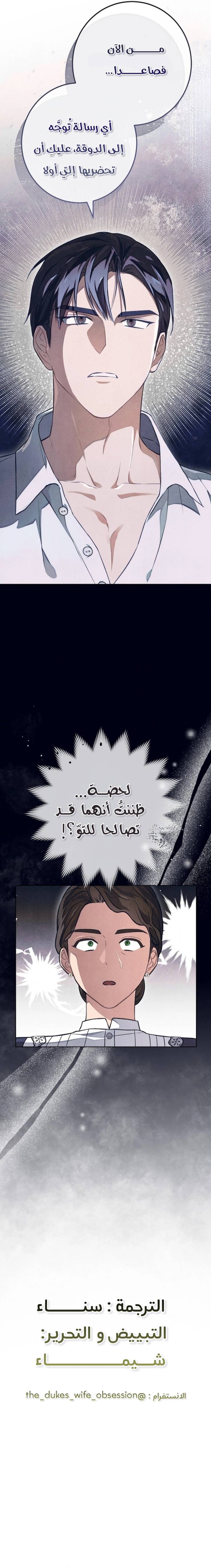 الصفحة 17