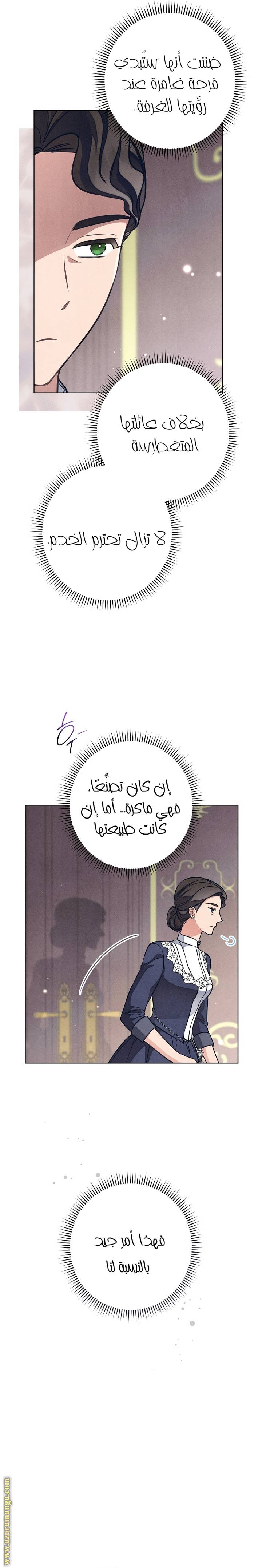 الصفحة 13