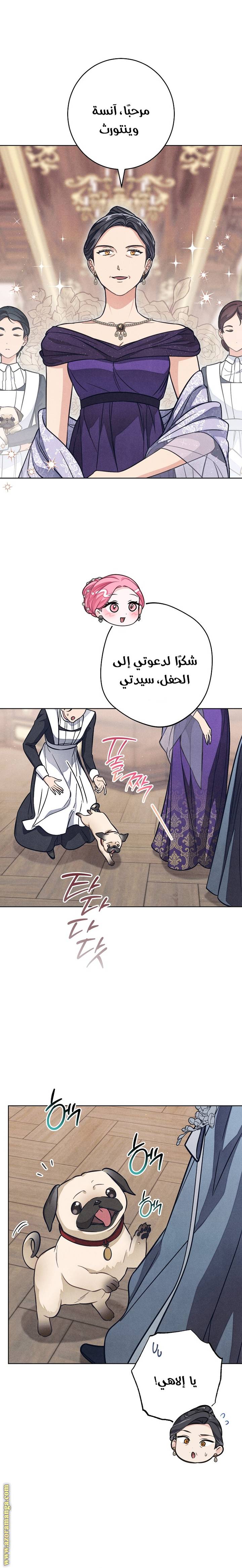 الصفحة 21
