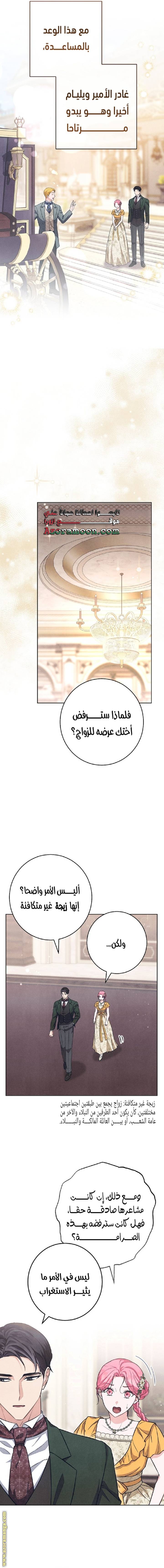 الصفحة 13
