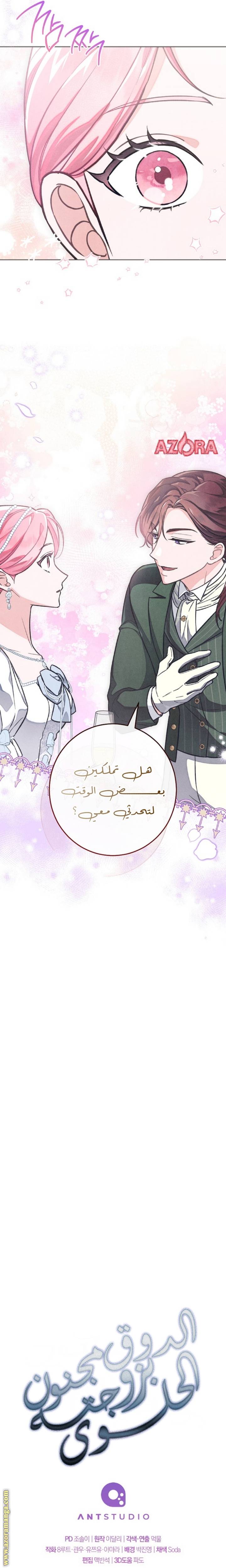 الصفحة 26