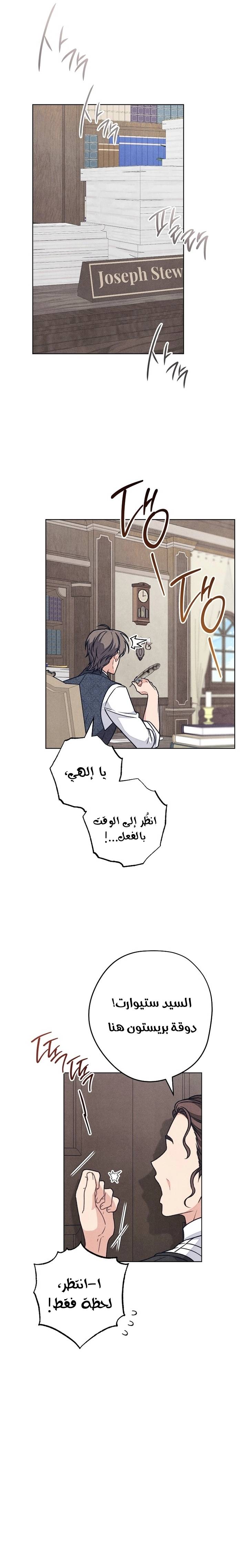 الصفحة 13