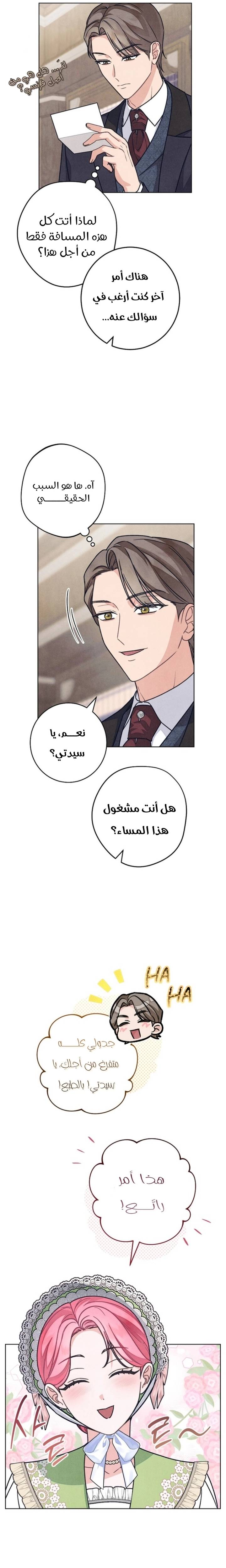 الصفحة 19