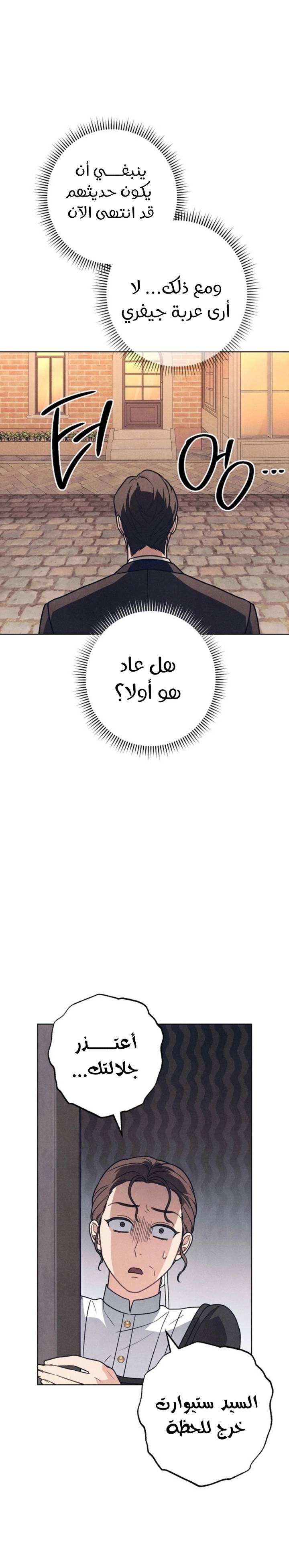 الصفحة 21