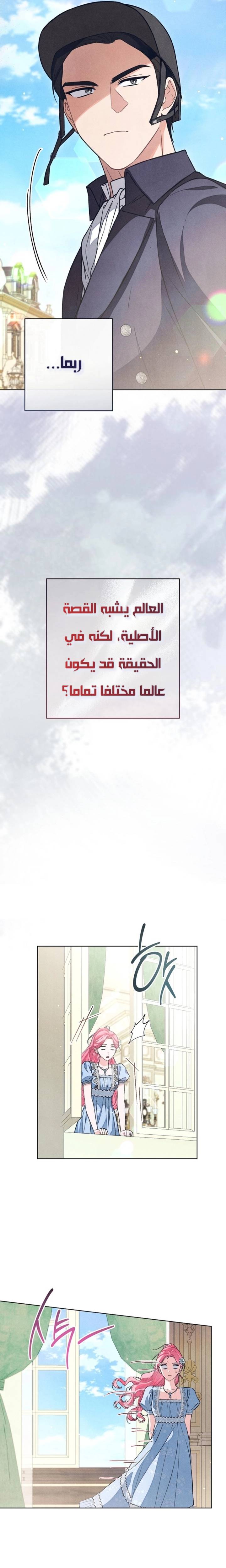 الصفحة 12