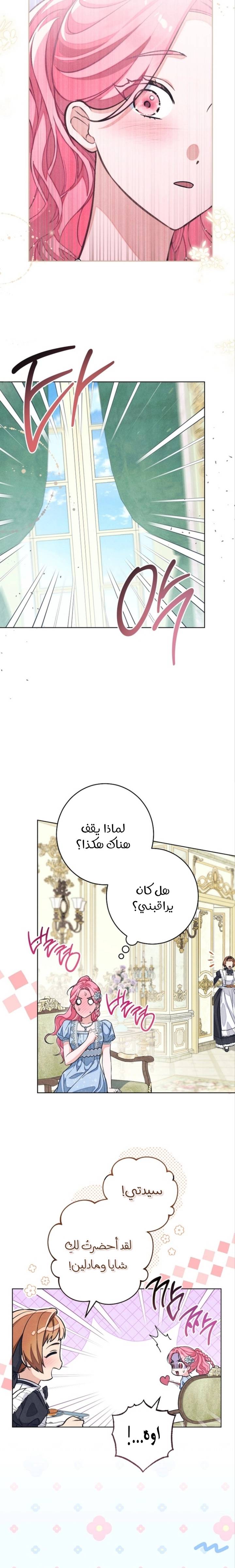 الصفحة 16