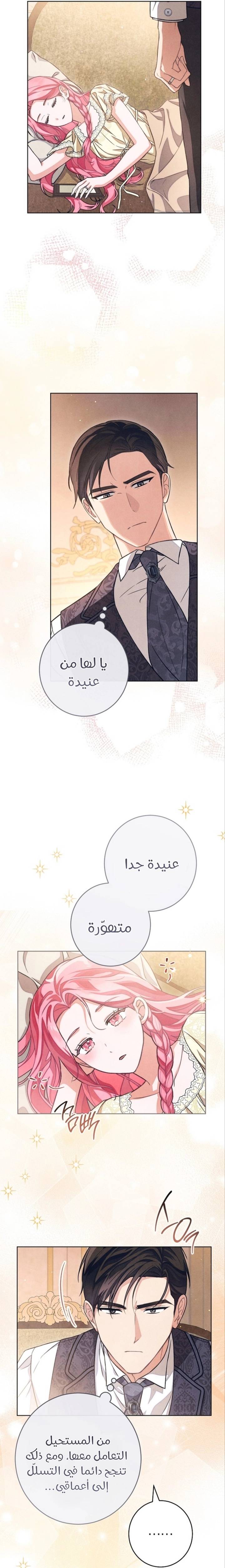 الصفحة 20