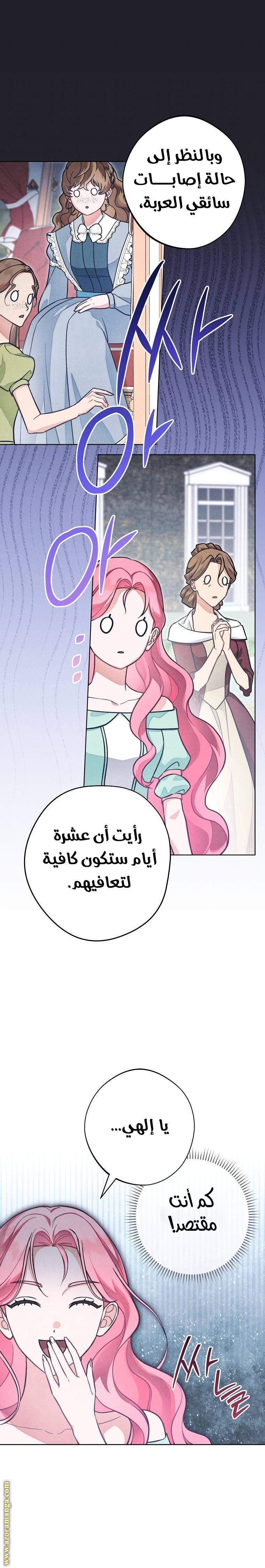 الصفحة 13