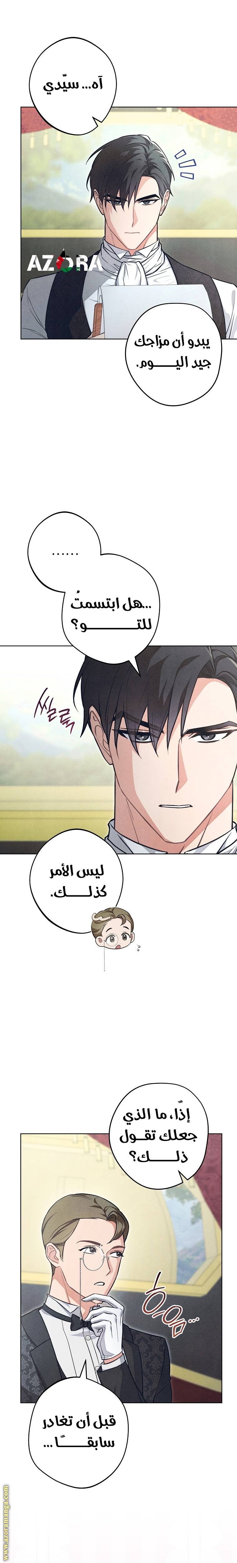 الصفحة 17