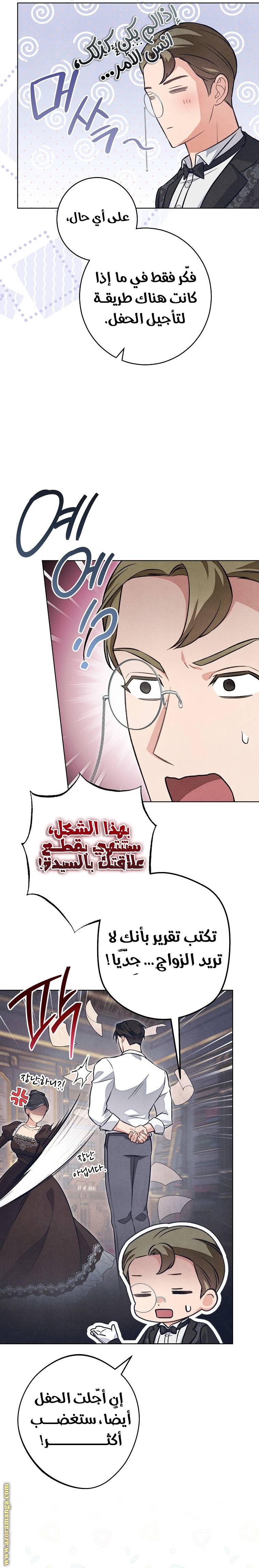 الصفحة 19
