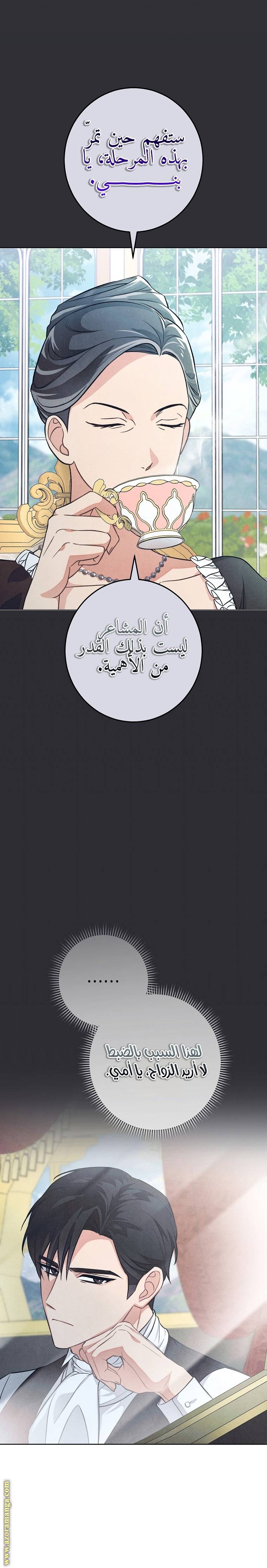 الصفحة 24