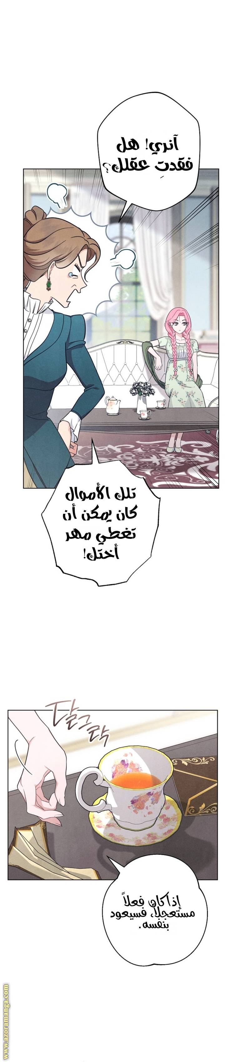 الصفحة 13