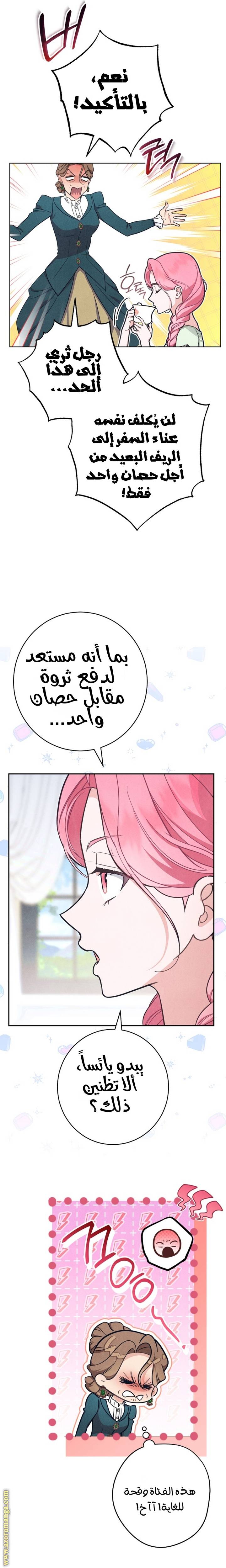 الصفحة 14
