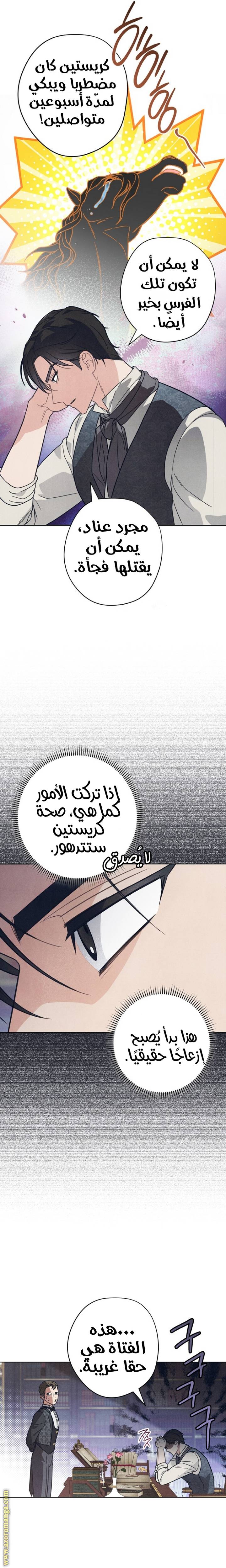 الصفحة 17