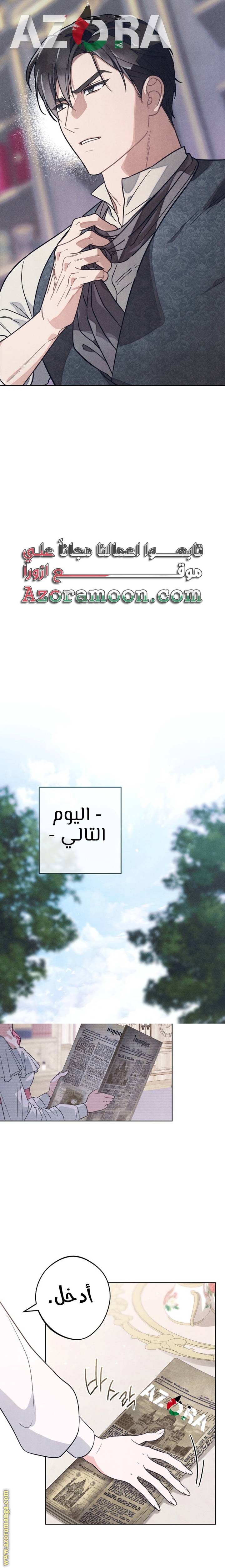 الصفحة 19