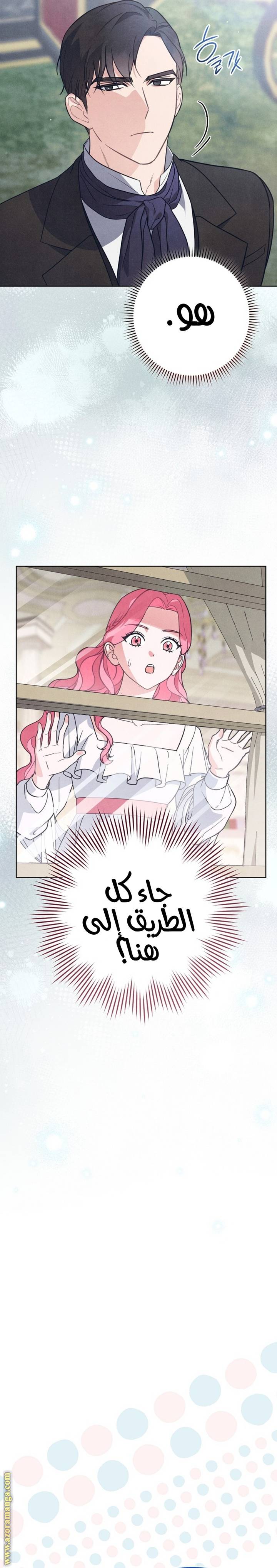 الصفحة 22