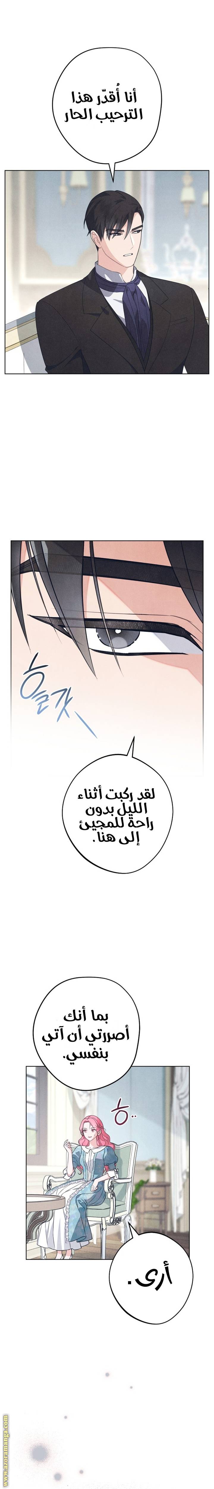 الصفحة 26