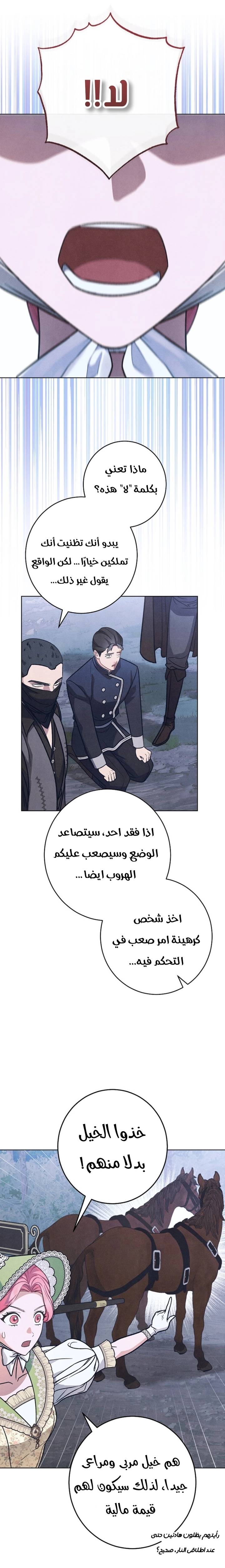 الصفحة 17