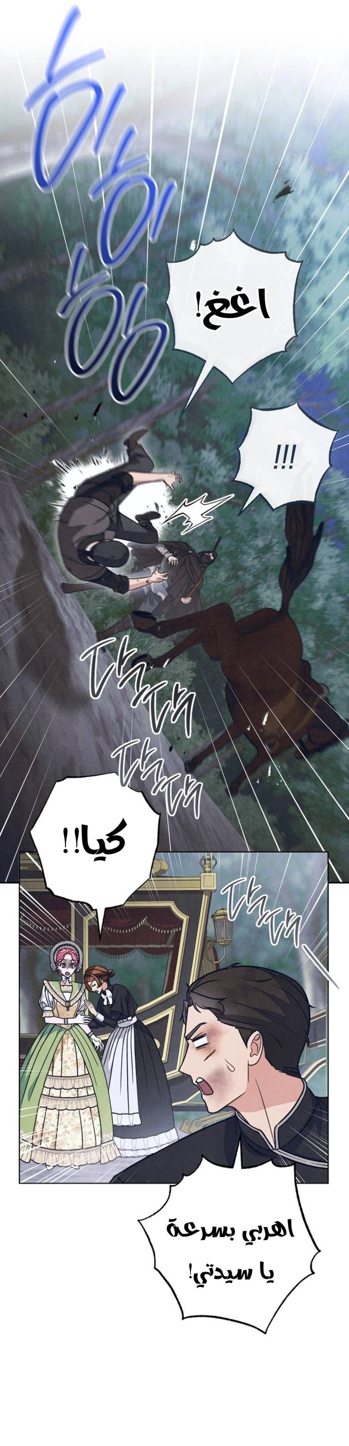 الصفحة 21
