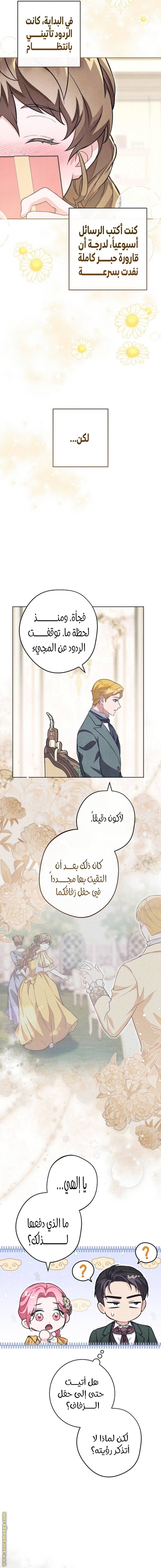 الصفحة 16