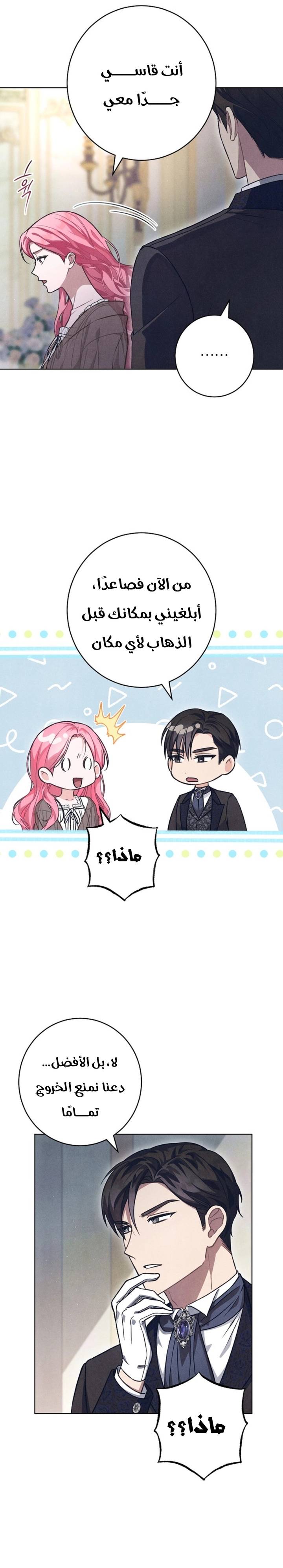 الصفحة 20