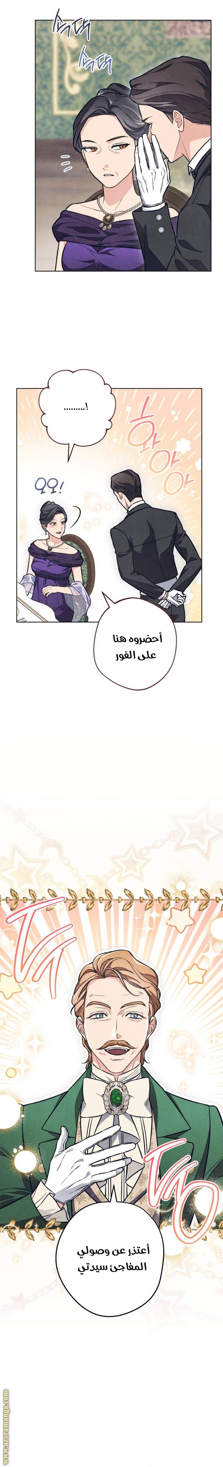 الصفحة 13