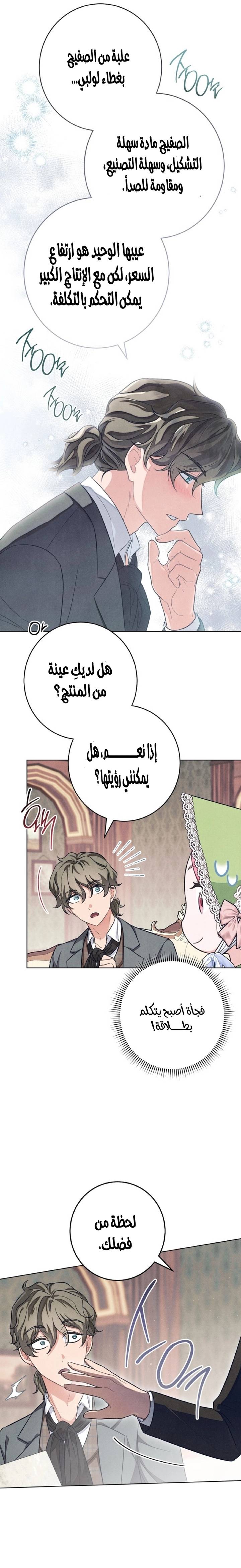 الصفحة 17