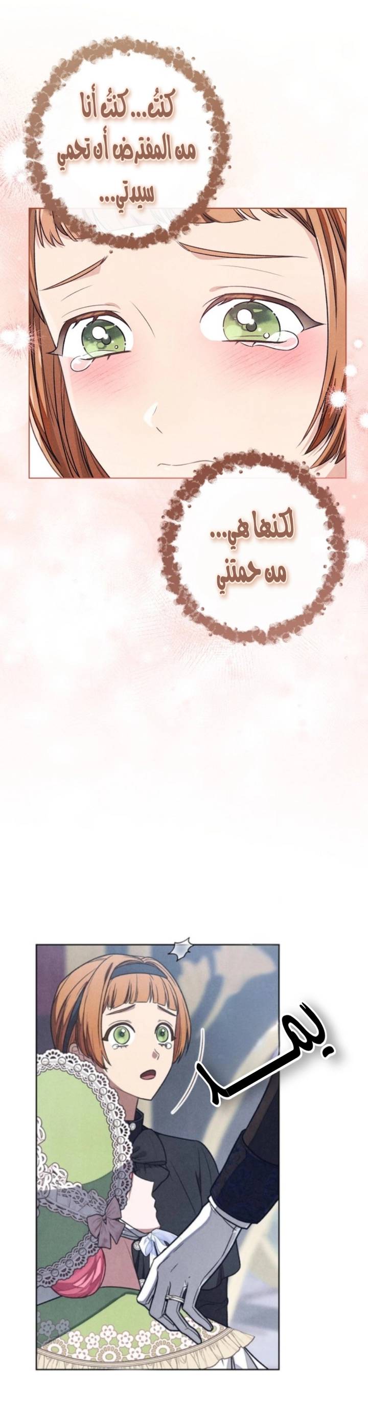 الصفحة 11