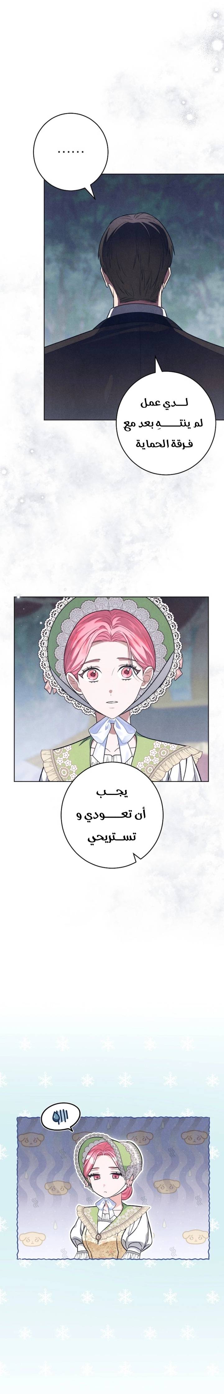 الصفحة 14