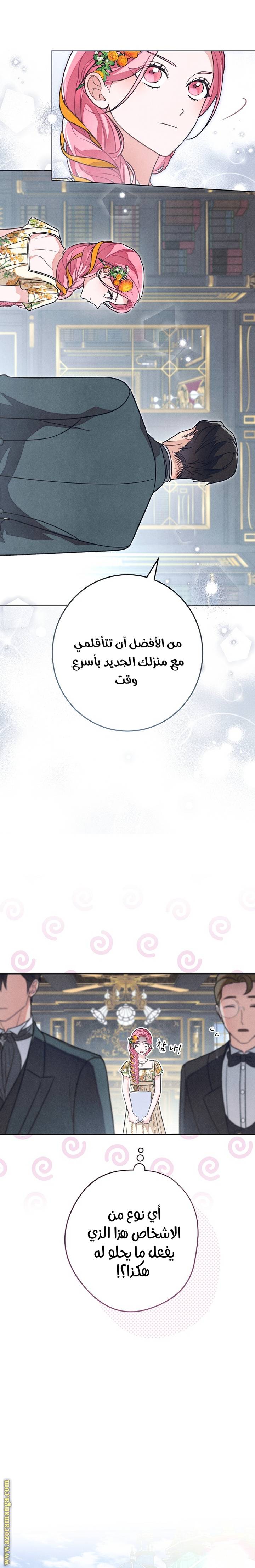 الصفحة 17