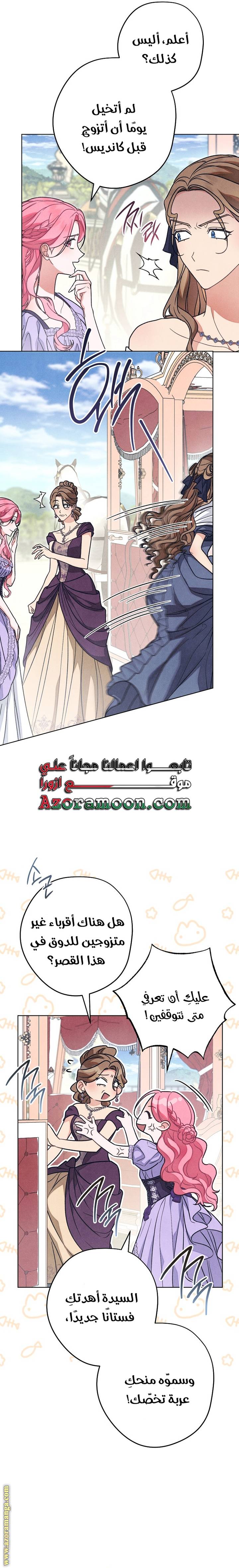الصفحة 19
