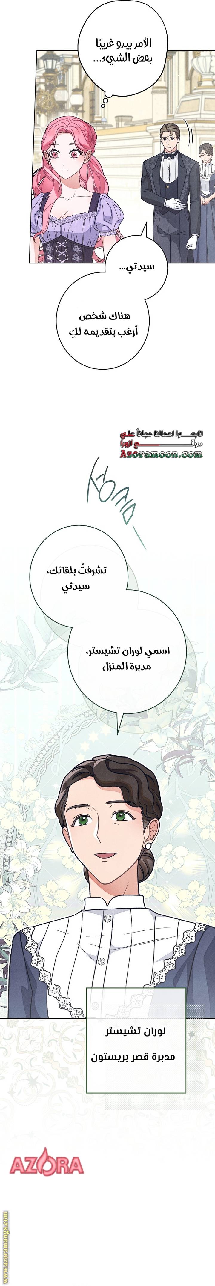 الصفحة 22