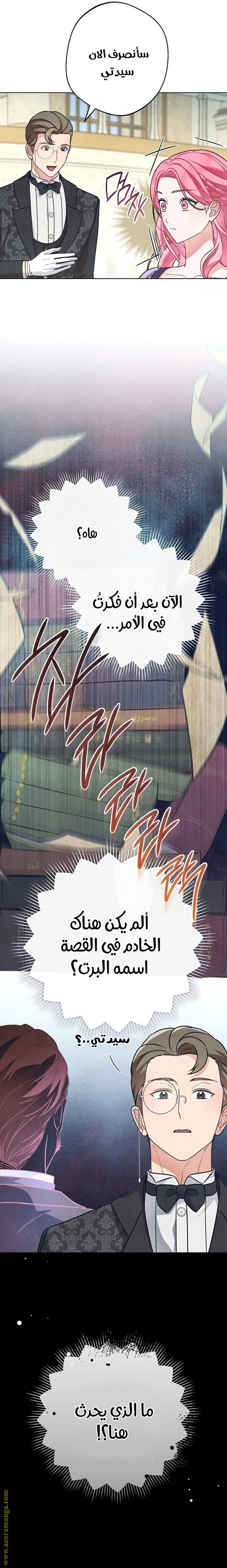 الصفحة 24