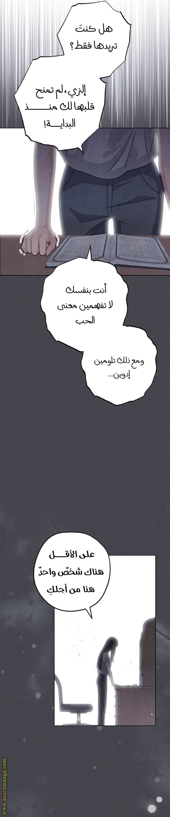 الصفحة 17