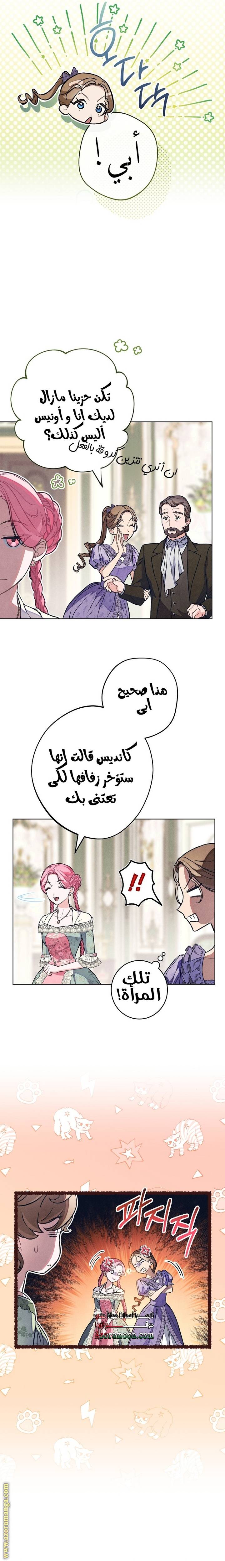 الصفحة 16