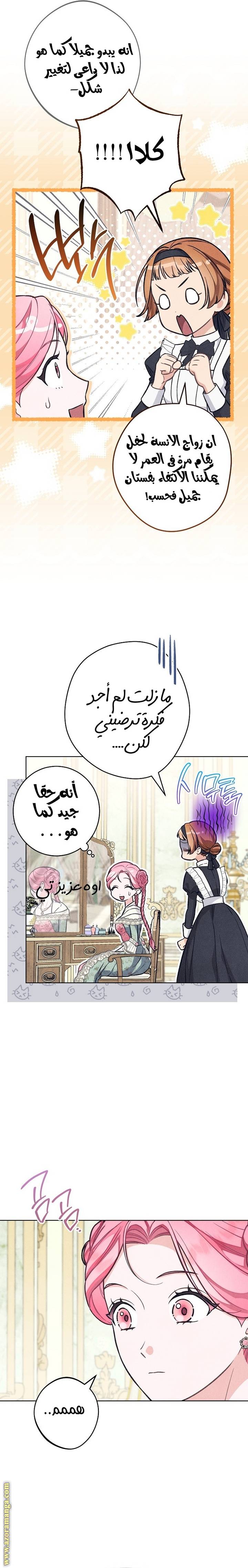 الصفحة 19