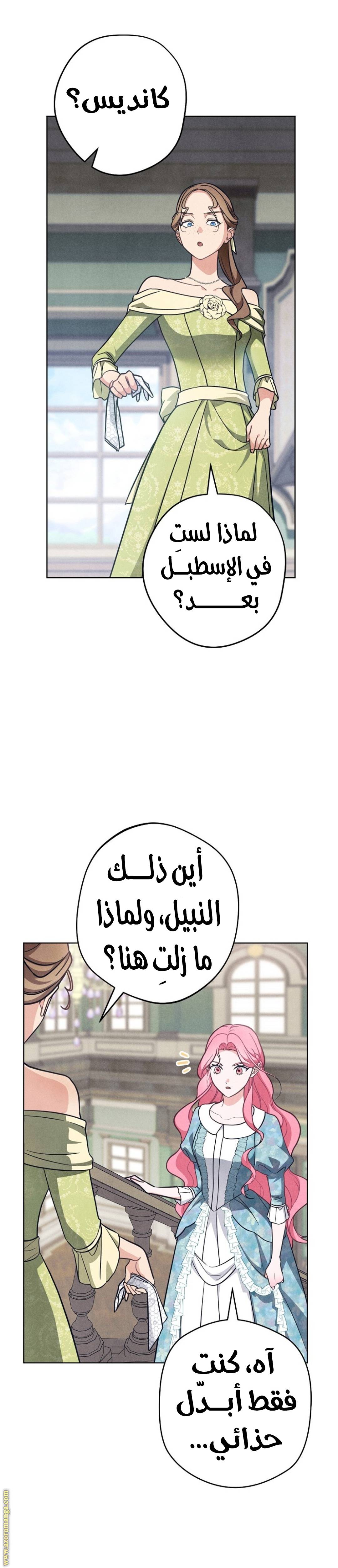 الصفحة 23