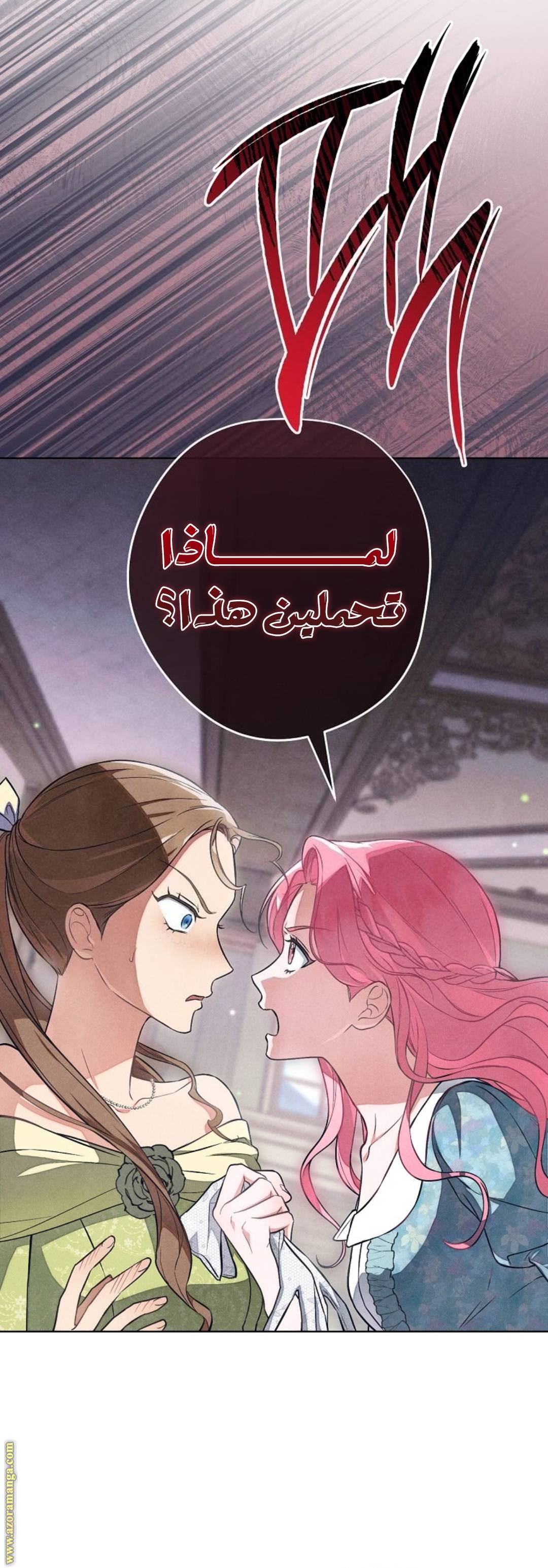 الصفحة 25